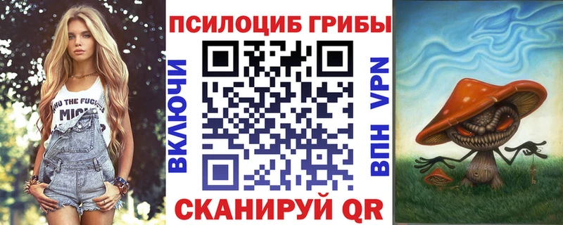 Псилоцибиновые грибы мицелий  Купить закладки  Чебаркуль 